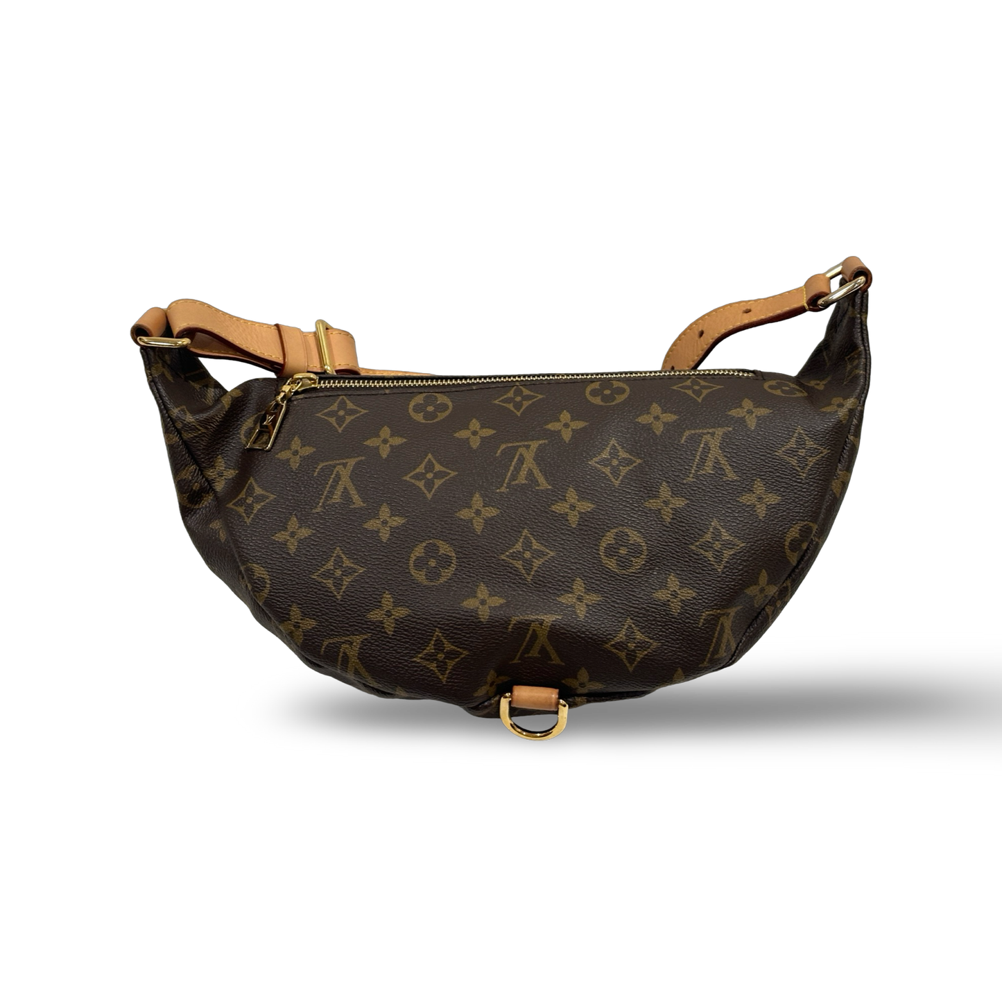 Louis Vuitton Waist Pouch (Brown)