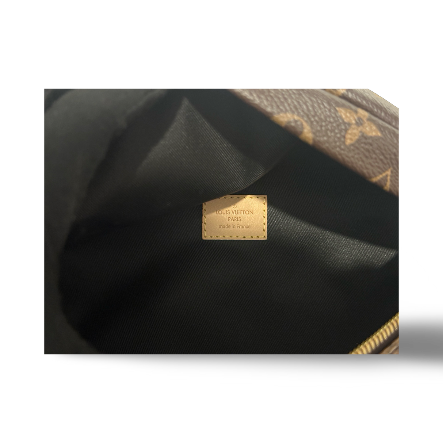 Louis Vuitton Monogram Waist Pouch