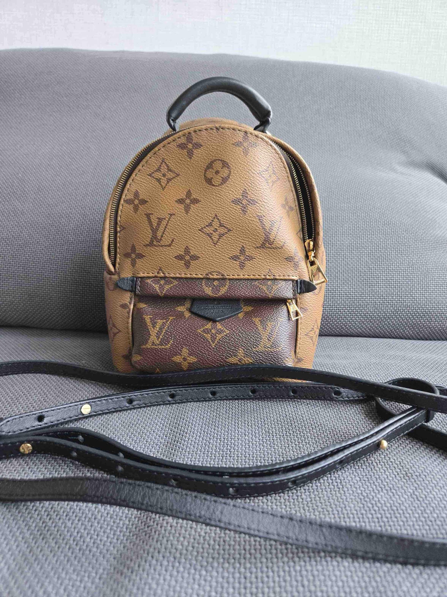 Louis Vuitton Monogram Mini Palm Springs Backpack - Brown