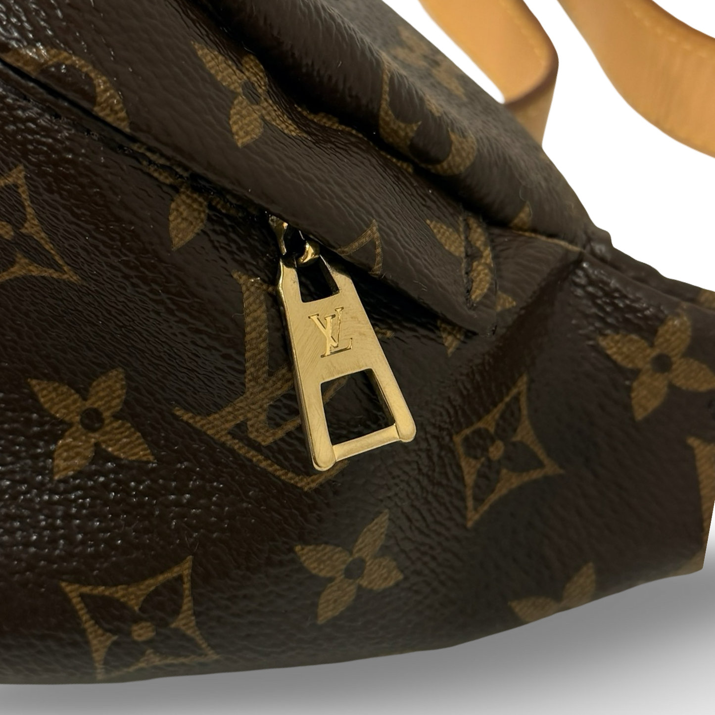 Louis Vuitton Monogram Bumbag Waist Bag - GHW / Brown