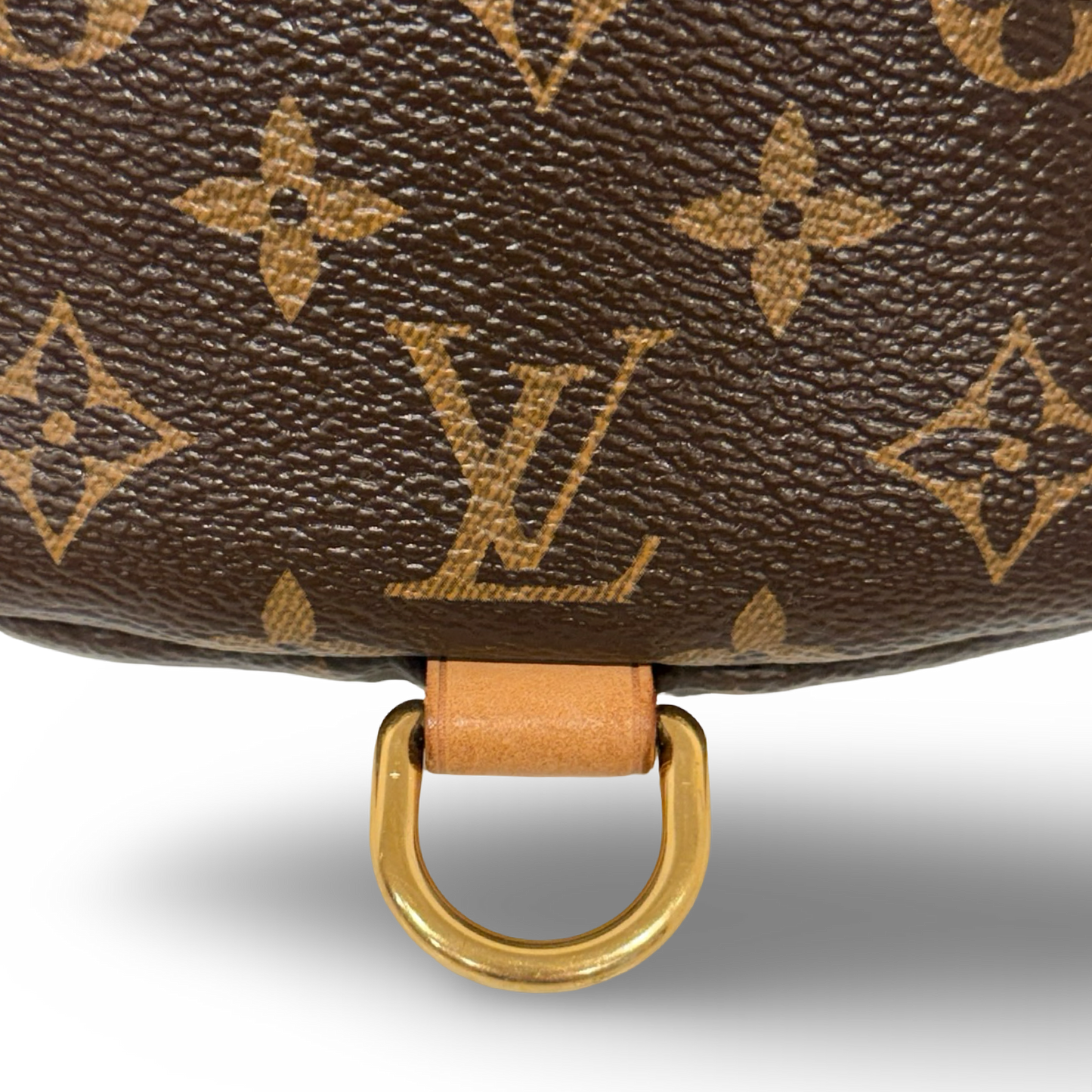 Louis Vuitton Monogram Bumbag Waist Bag - GHW / Brown