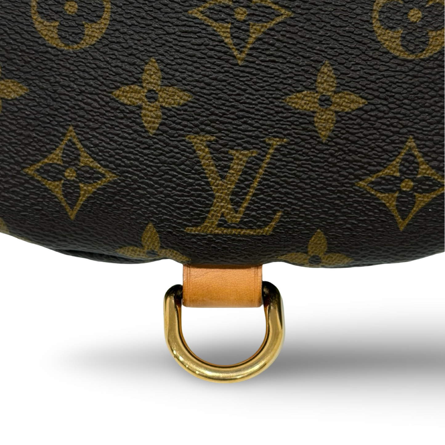 Louis Vuitton Monogram Bumbag Waist Bag - GHW / Brown