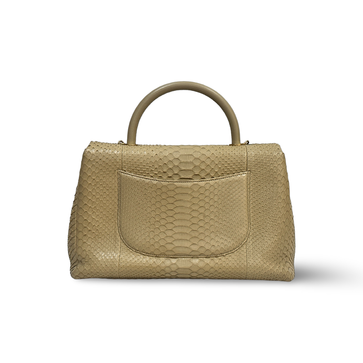 Chanel Python Medium Coco Handle Flap Gold