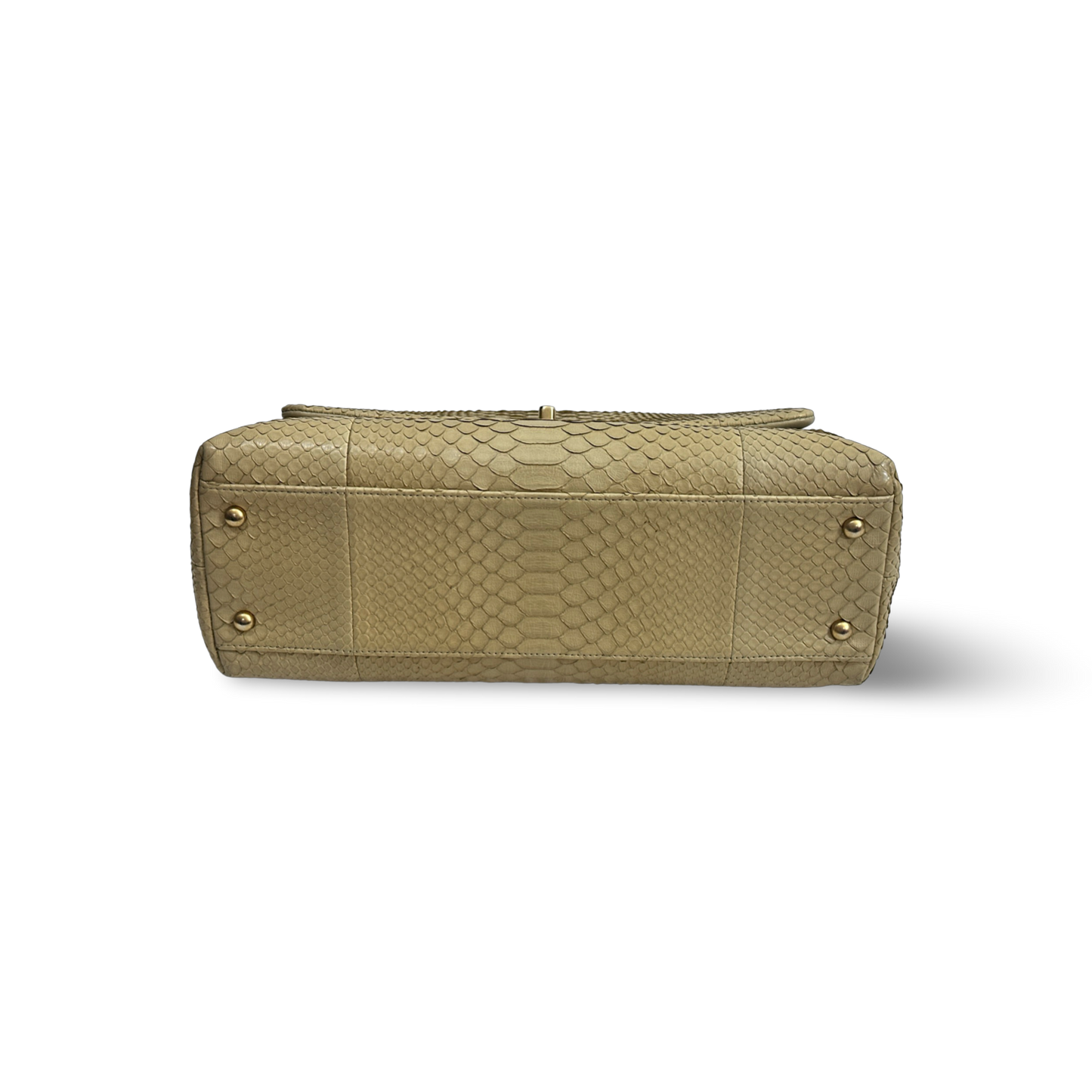 Chanel Python Medium Coco Handle Flap Gold