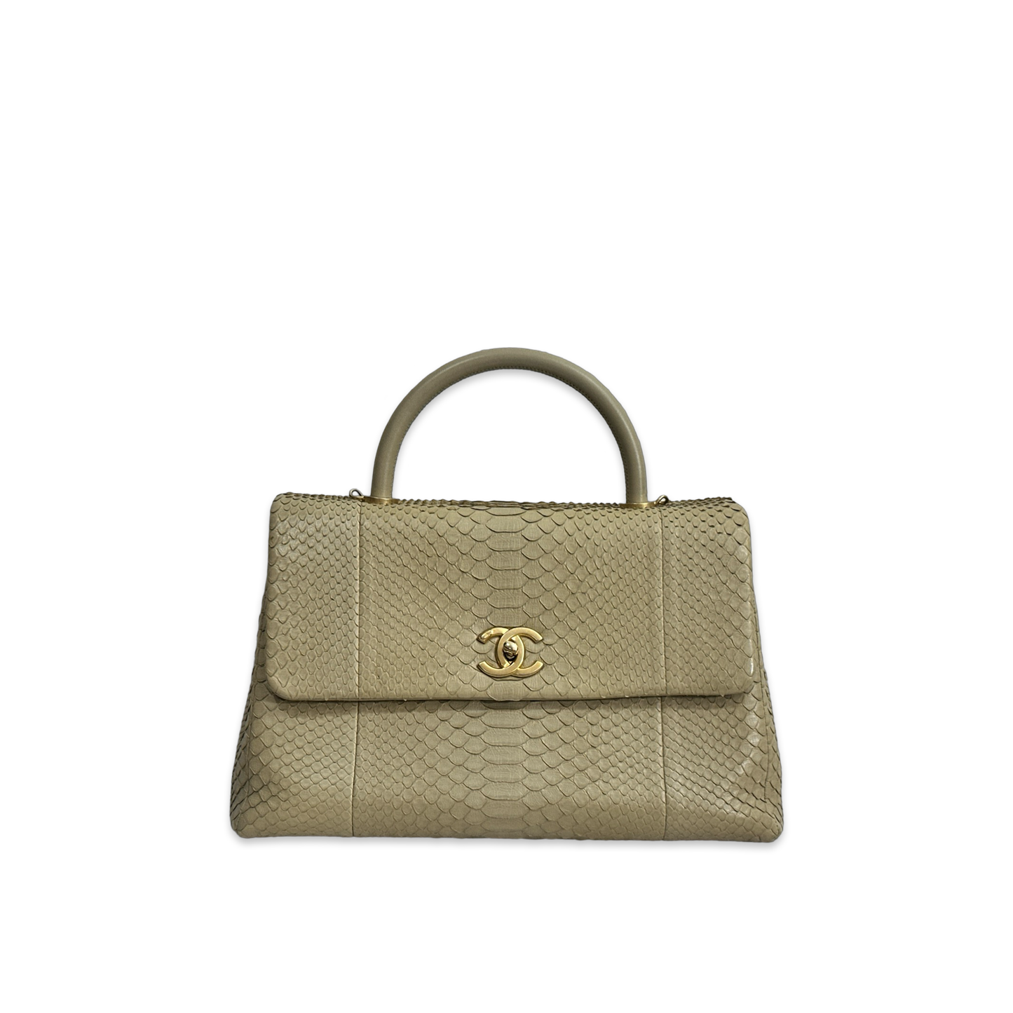 Chanel Python Medium Coco Handle Flap Gold