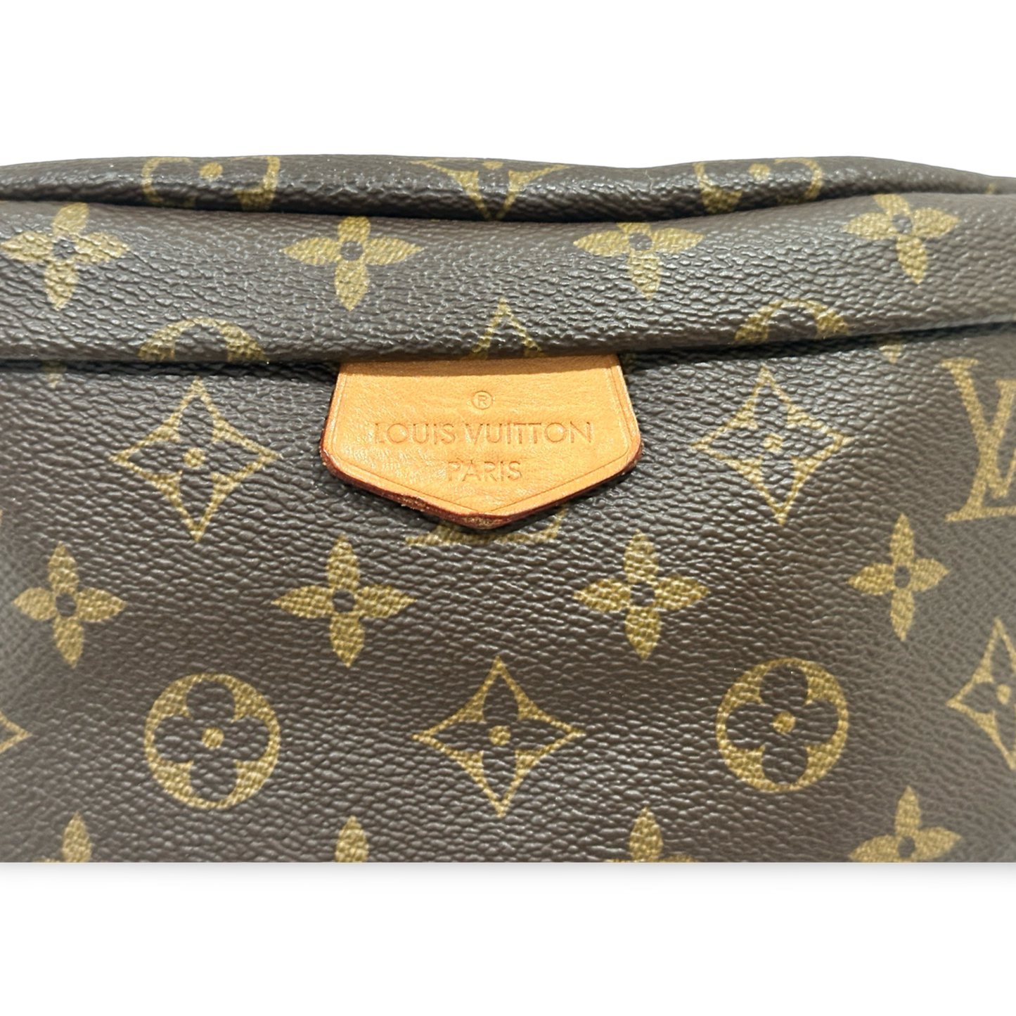 Louis Vuitton Waist Pouch (Brown)