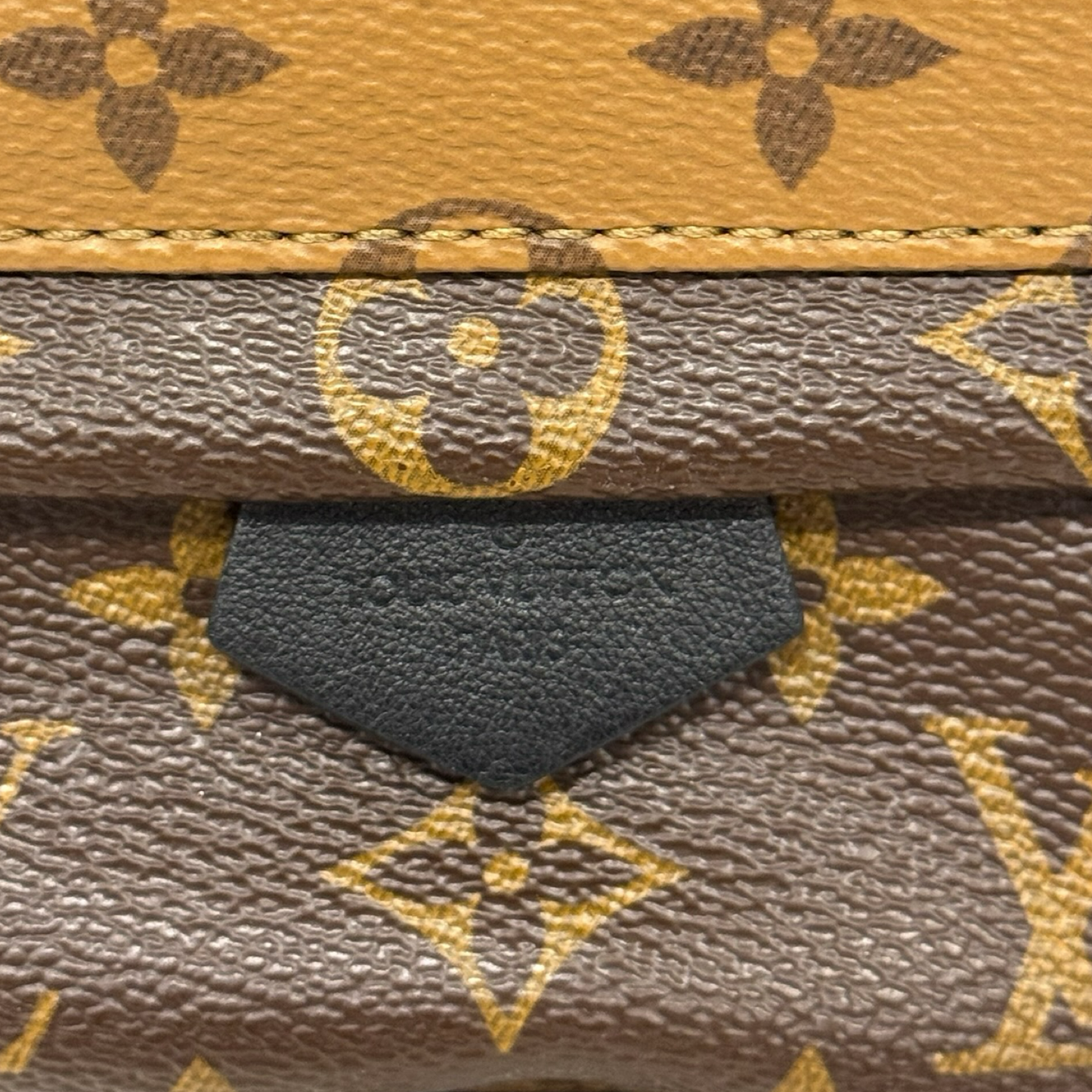 Louis Vuitton Monogram Mini Palm Springs Backpack - Brown