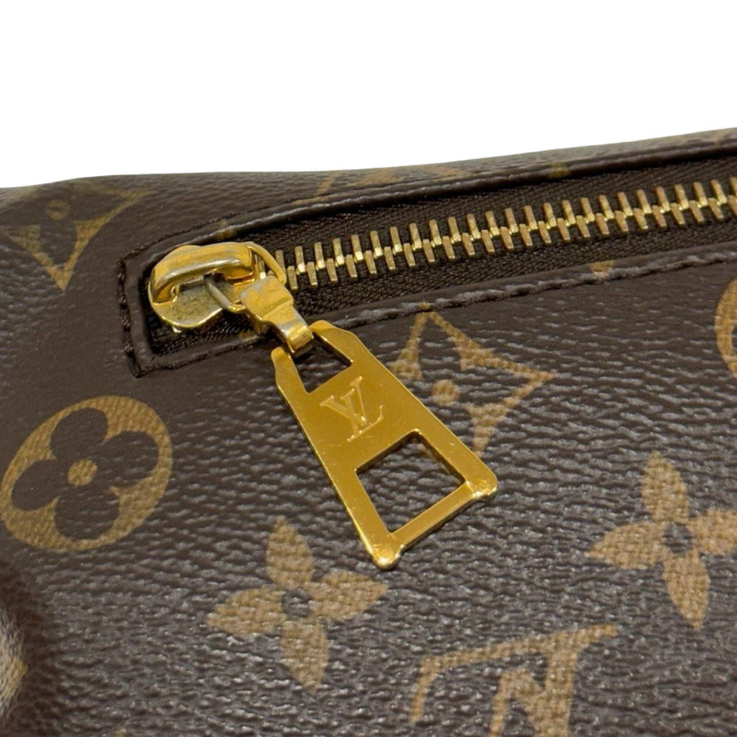 Louis Vuitton Monogram Bum Bag Waist Bag- GHW / Brown