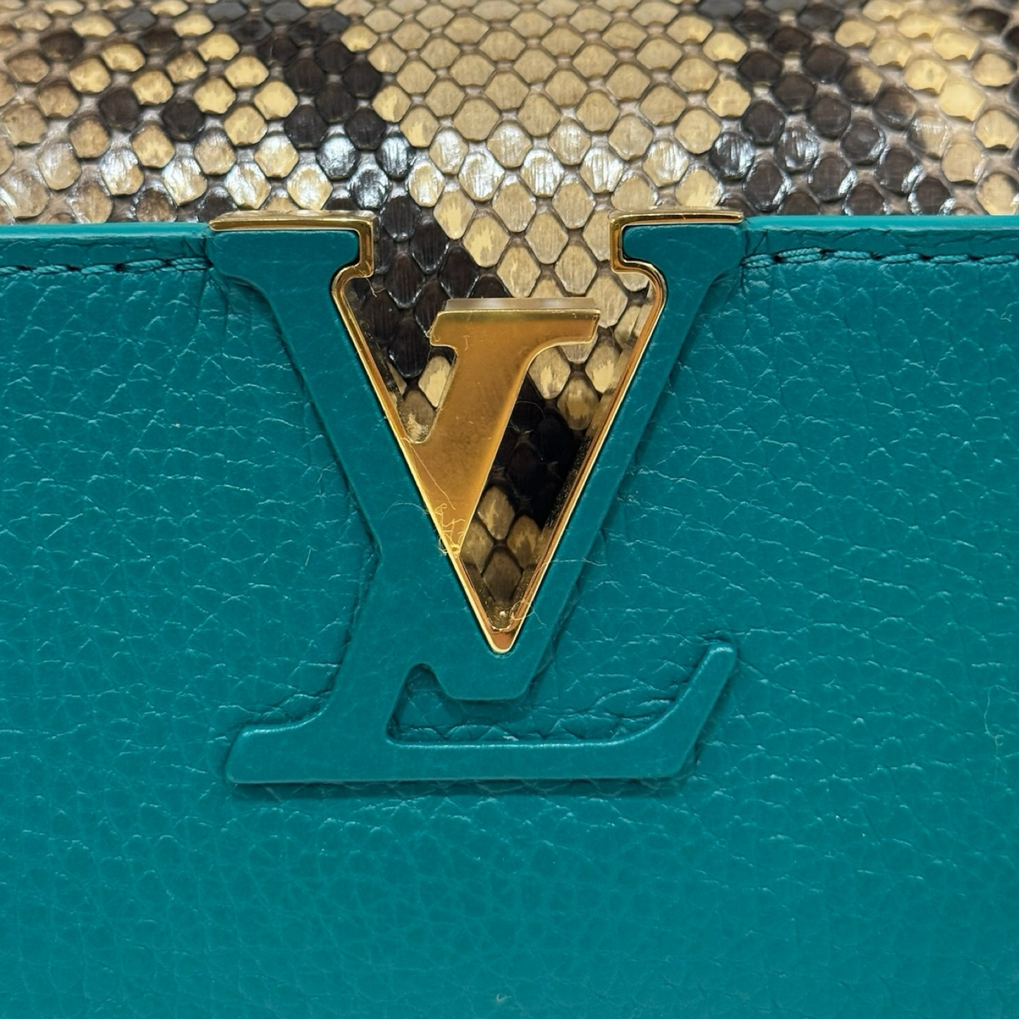 Louis Vuitton Python Mini Capucines Bag - GHW / Green