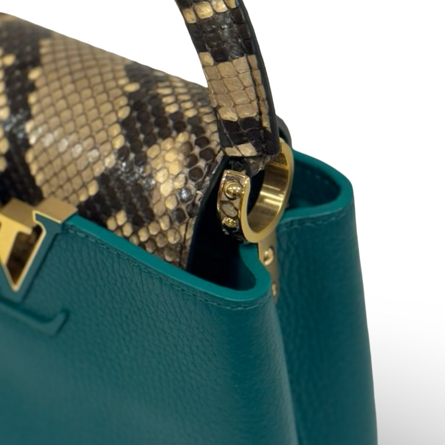 Louis Vuitton Python Mini Capucines Bag - GHW / Green