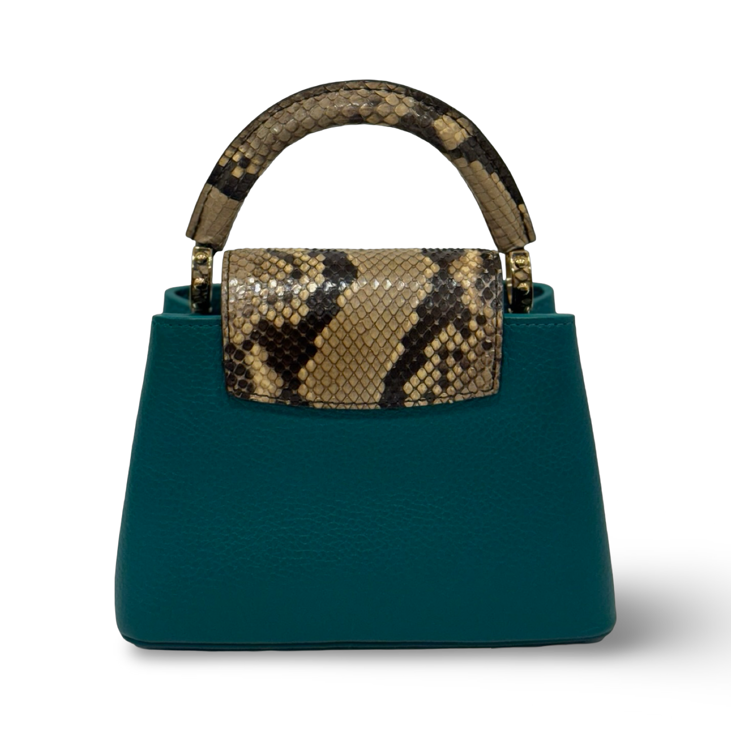 Louis Vuitton Python Mini Capucines Bag - GHW / Green