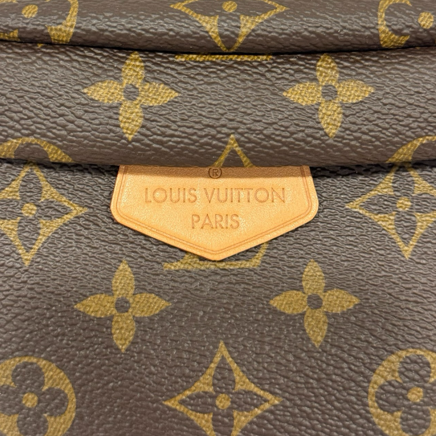 Louis Vuitton Monogram Bumbag Waist Bag- GHW / Brown