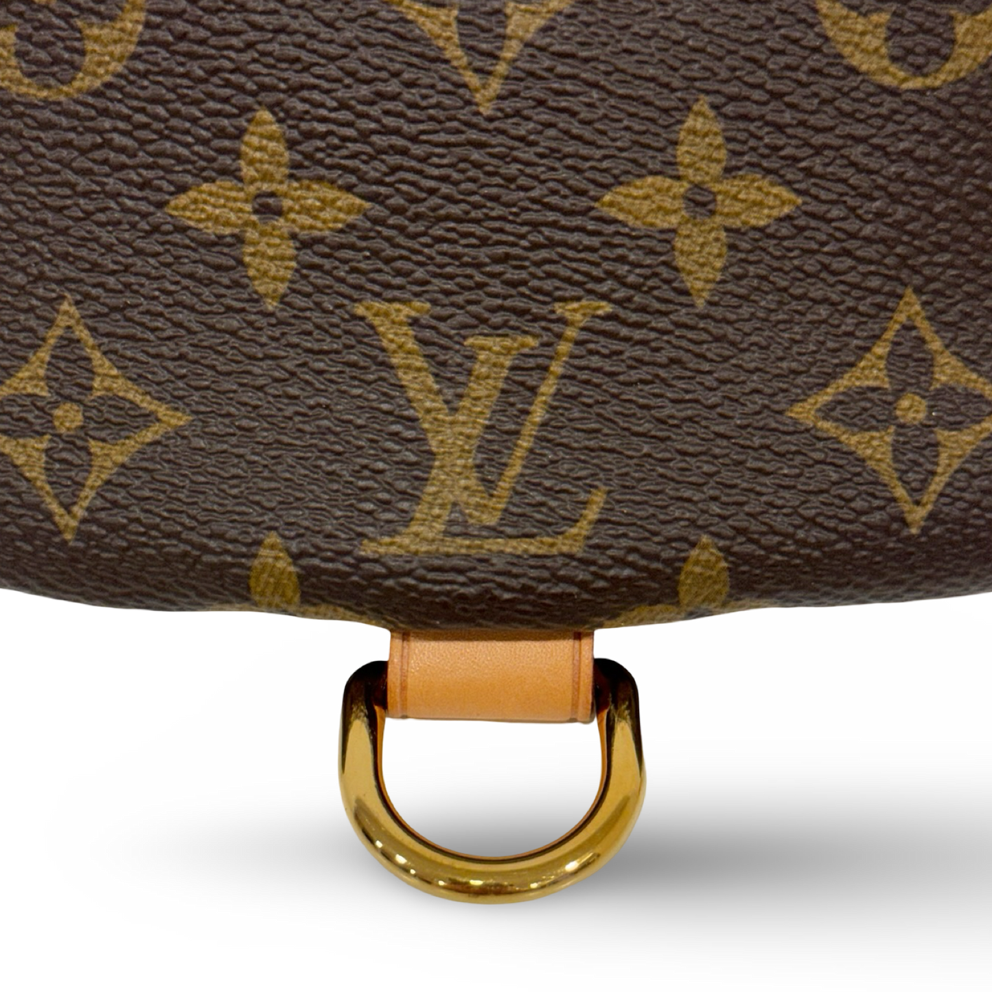 Louis Vuitton Monogram Bumbag Waist Bag- GHW / Brown