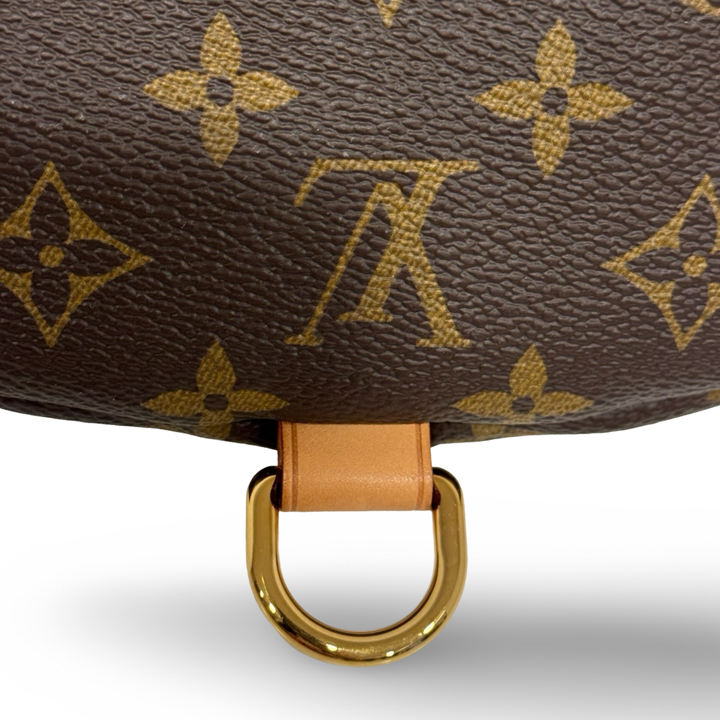 Louis Vuitton Monogram Bumbag Waist Bag- GHW / Brown