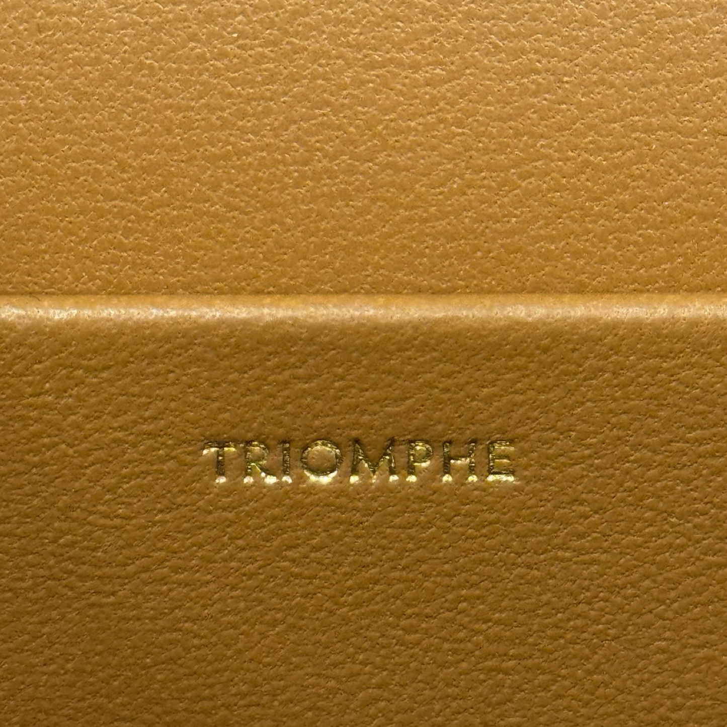 Celine Calfskin Classique Teen Triomphe Bag - GHW / Brown