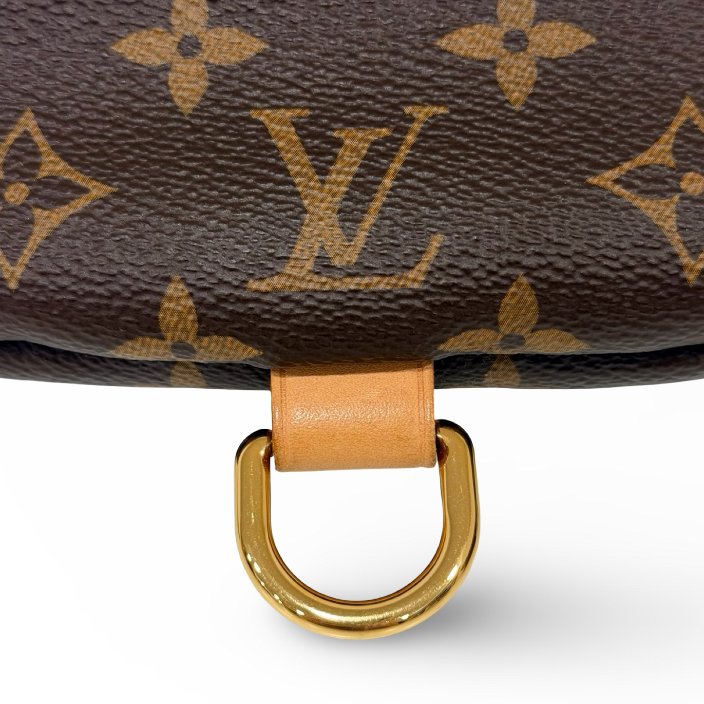 Louis Vuitton Monogram Bumbag Waist Bag - GHW / Brown