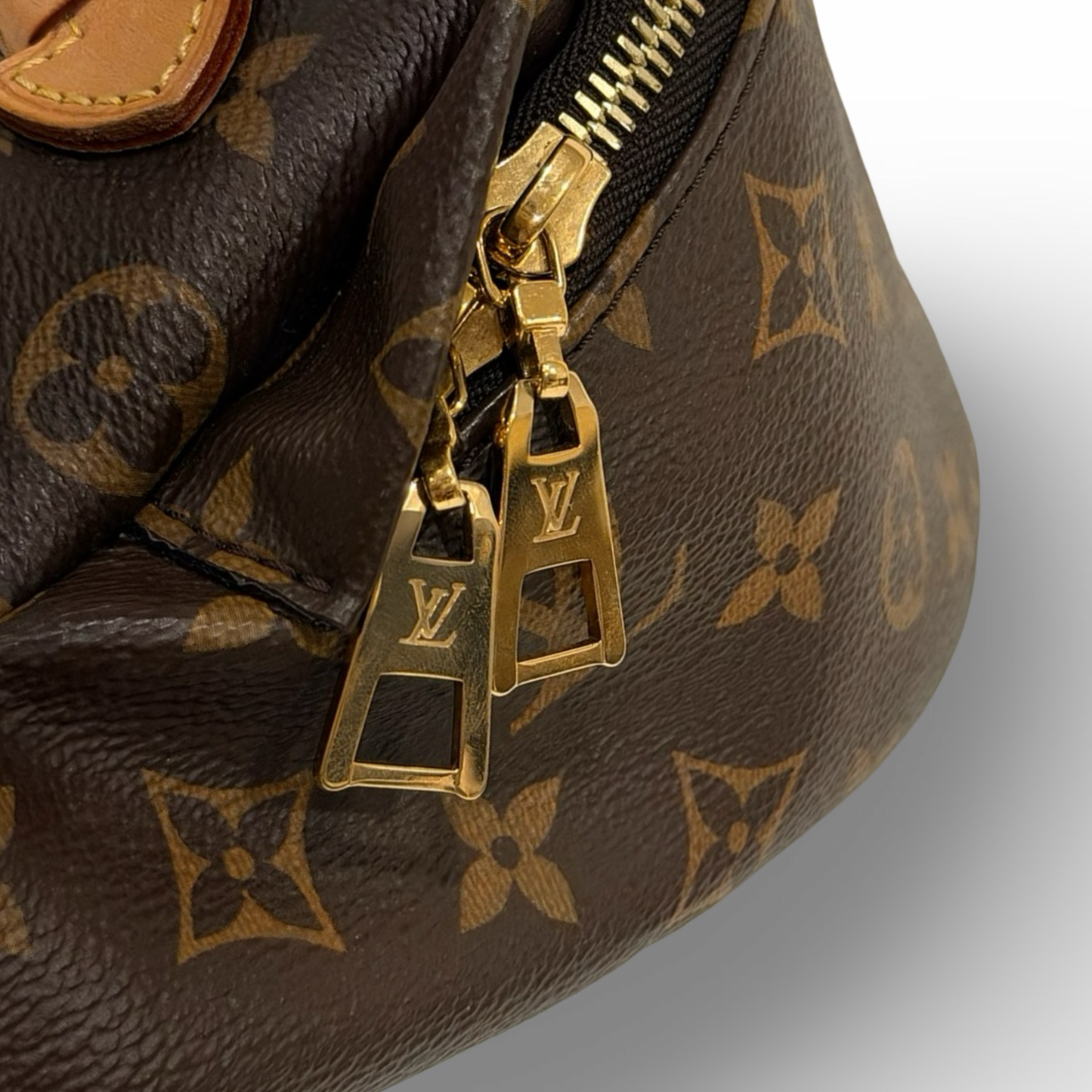 Louis Vuitton Monogram Bumbag Waist Bag - GHW / Brown