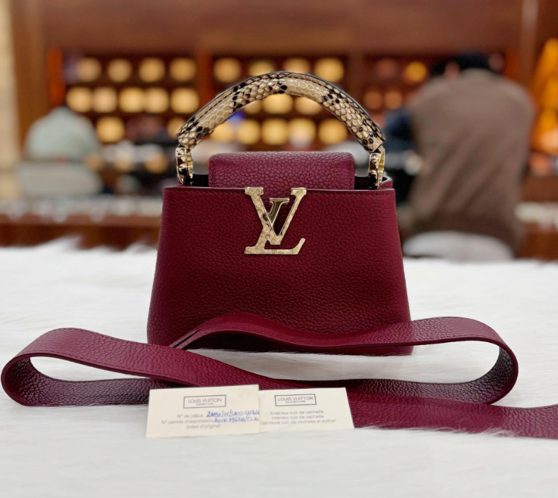 Louis Vuitton Python Mini Capucines Bag - GHW / Burgundy