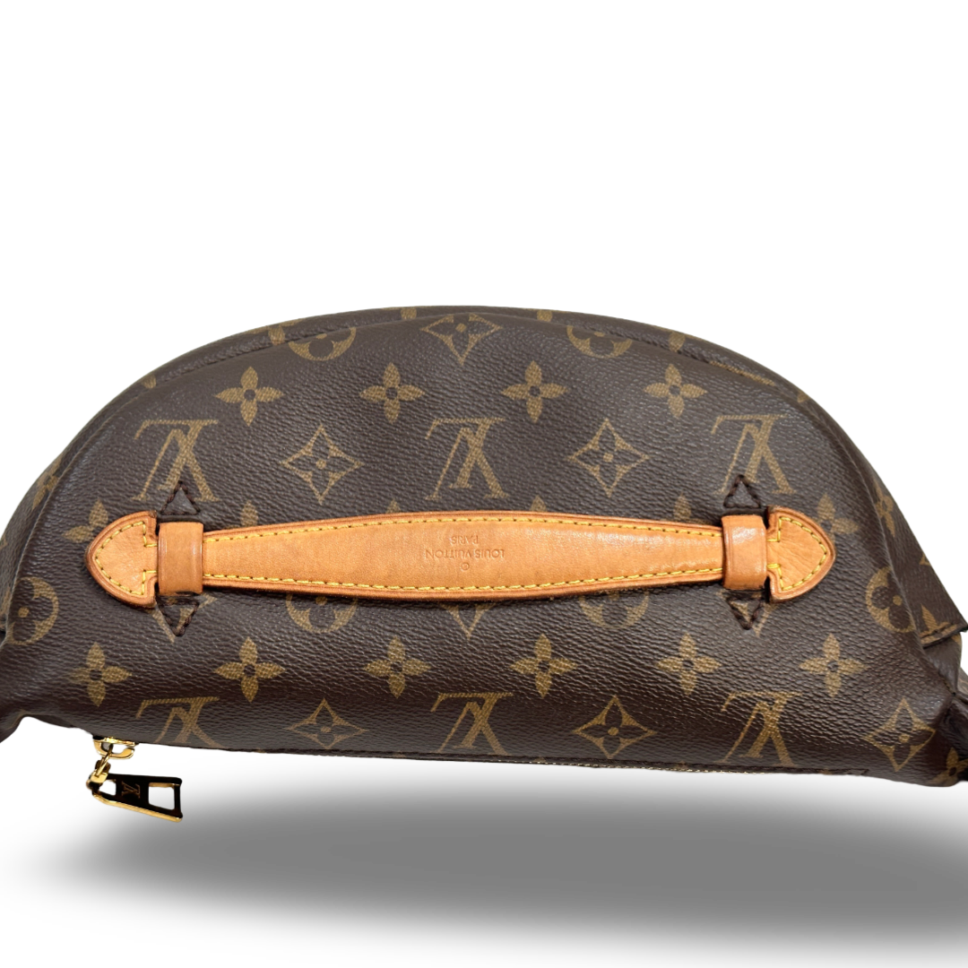 Louis Vuitton Monogram Waist Bumbag Brown